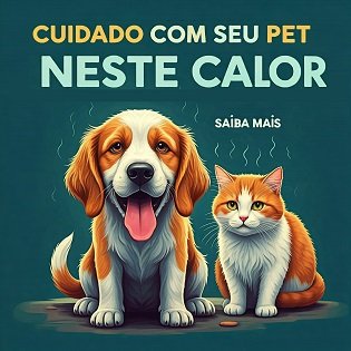 Cuidados com os pets no calor